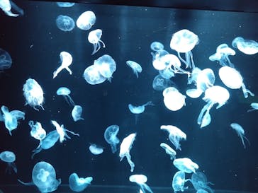 AOAO SAPPOROに投稿された画像（2024/7/23）