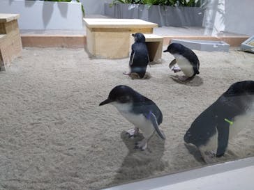 AOAO SAPPOROに投稿された画像（2024/7/23）