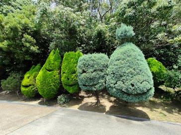 淡路ファームパーク イングランドの丘に投稿された画像（2024/7/23）