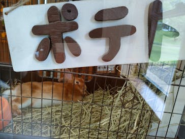 淡路ファームパーク イングランドの丘に投稿された画像（2024/7/23）