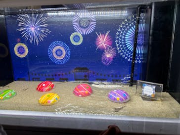 マクセル アクアパーク品川に投稿された画像（2024/7/23）