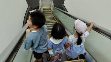 福井県立恐竜博物館に投稿された画像（2024/7/23）