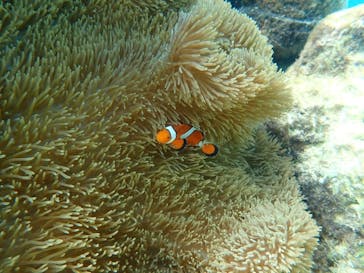 marine assist DEMI（マリンアシストデミ）に投稿された画像（2024/7/24）