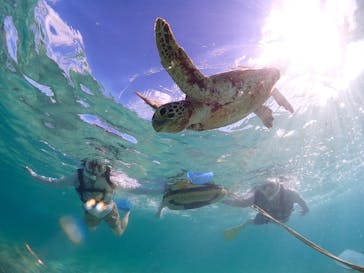 CHAMP TOUR　宮古島に投稿された画像（2024/7/24）