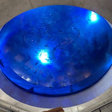 AQUARIUM × ART　atoaに投稿された画像（2024/7/24）