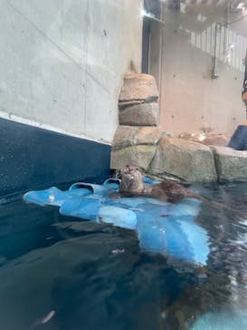 AQUARIUM × ART　atoaに投稿された画像（2024/7/24）