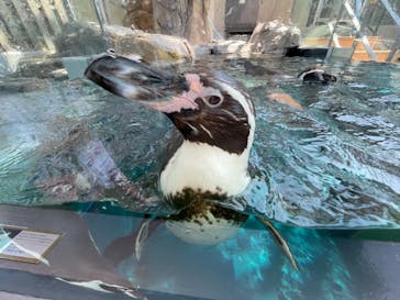 AQUARIUM × ART　atoaに投稿された画像（2024/7/24）