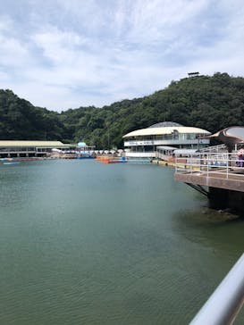 下田海中水族館に投稿された画像（2024/7/24）