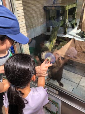 下田海中水族館に投稿された画像（2024/7/24）