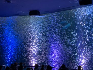 名古屋港水族館に投稿された画像（2024/7/24）