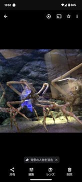 大分マリーンパレス水族館 「うみたまご」に投稿された画像（2024/7/24）