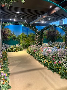 モネ＆フレンズ・アライブに投稿された画像（2024/7/24）