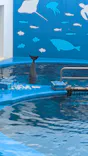 仙台うみの杜水族館に投稿された画像（2024/7/24）