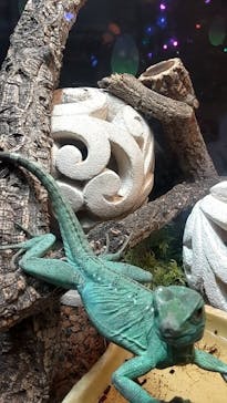 NARA IKIMONO MUSEUMに投稿された画像（2024/7/24）