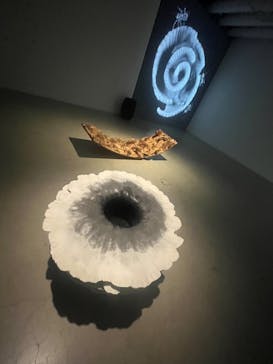 金沢21世紀美術館に投稿された画像（2024/7/24）