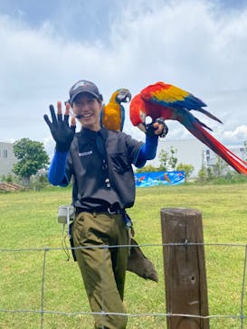 神戸どうぶつ王国に投稿された画像（2024/7/24）