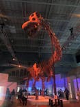 巨大恐竜展2024に投稿された画像（2024/7/24）