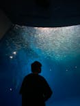 名古屋港水族館に投稿された画像（2024/7/24）