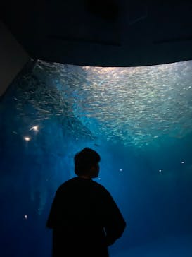 名古屋港水族館に投稿された画像（2024/7/24）