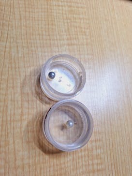 三重県真珠に投稿された画像（2024/7/24）