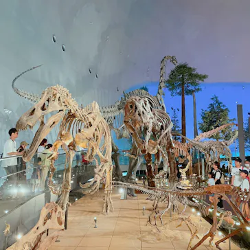 福井県立恐竜博物館に投稿された画像（2024/7/24）