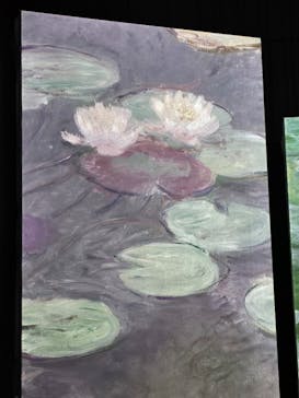 モネ＆フレンズ・アライブに投稿された画像（2024/7/24）