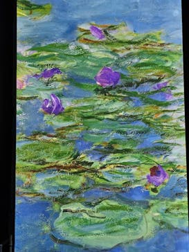 モネ＆フレンズ・アライブに投稿された画像（2024/7/24）