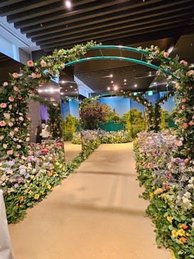 モネ＆フレンズ・アライブに投稿された画像（2024/7/24）