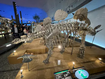 福井県立恐竜博物館に投稿された画像（2024/7/24）