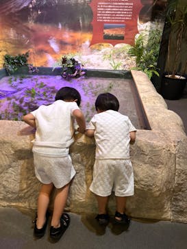 世界淡水魚園水族館　アクア・トトぎふに投稿された画像（2024/7/24）