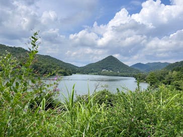 三田市総合案内所に投稿された画像（2024/7/24）