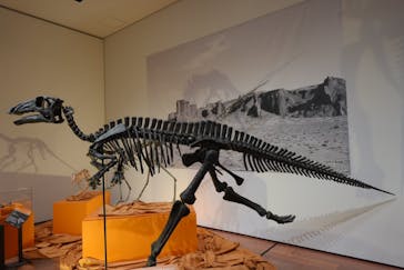 新潟県立万代島美術館に投稿された画像（2024/7/24）