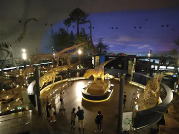 福井県立恐竜博物館に投稿された画像（2024/7/24）