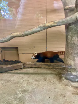 富士サファリパークに投稿された画像（2024/7/24）