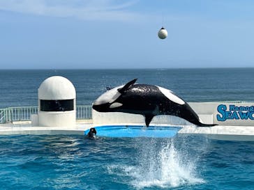 鴨川シーワールドに投稿された画像（2024/7/24）