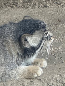 神戸どうぶつ王国に投稿された画像（2024/7/24）