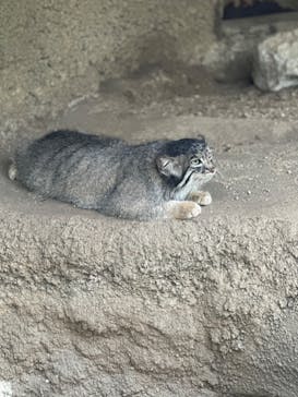 神戸どうぶつ王国に投稿された画像（2024/7/24）