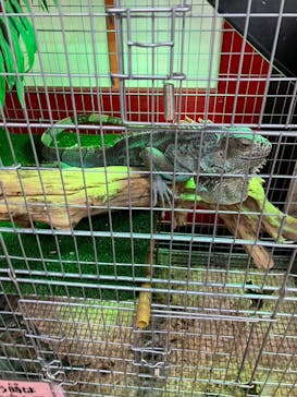 いきもの探検隊上尾に投稿された画像（2024/7/24）