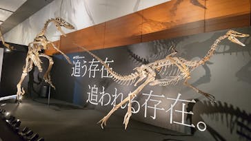 DinoScience 恐竜科学博 ～ララミディア大陸の恐竜物語～ 2024@OSAKAに投稿された画像（2024/7/24）