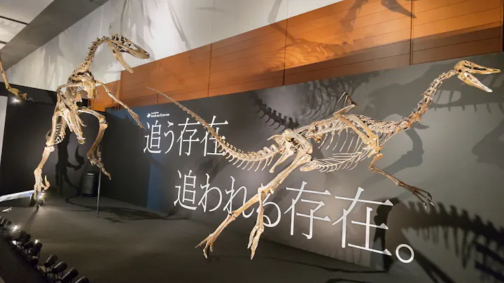 DinoScience 恐竜科学博 ～ララミディア大陸の恐竜物語～ 2024@OSAKAの