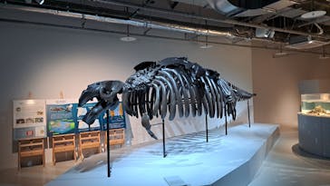 AOAO SAPPOROに投稿された画像（2024/7/24）