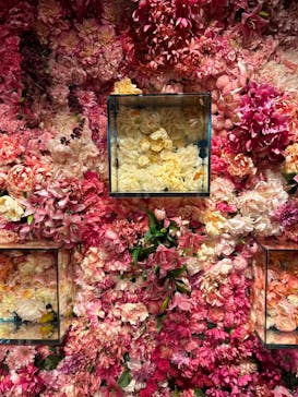 NARA KINGYO MUSEUMに投稿された画像（2024/7/24）