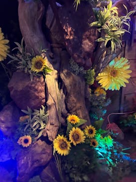 NARA KINGYO MUSEUMに投稿された画像（2024/7/24）