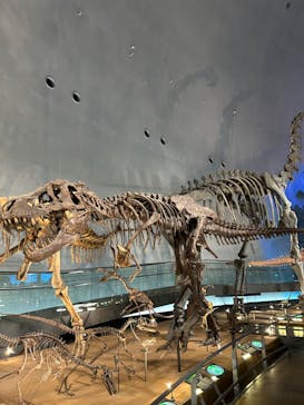 福井県立恐竜博物館に投稿された画像（2024/7/24）