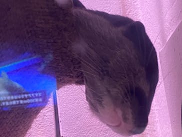 マクセル アクアパーク品川に投稿された画像（2024/7/24）