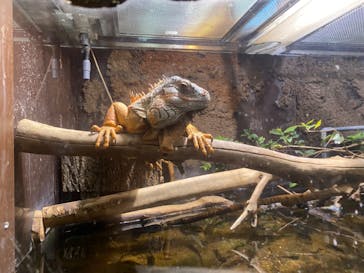 マクセル アクアパーク品川に投稿された画像（2024/7/24）