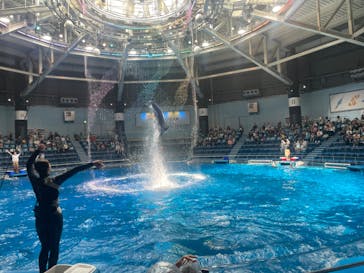 マクセル アクアパーク品川に投稿された画像（2024/7/24）