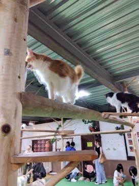 神戸どうぶつ王国に投稿された画像（2024/7/24）