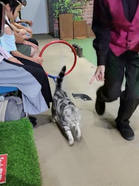 那須どうぶつ王国に投稿された画像（2024/7/24）