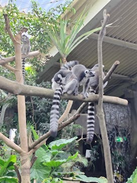 那須どうぶつ王国に投稿された画像（2024/7/24）